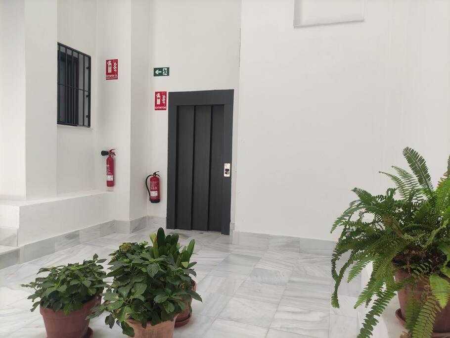 Calm & Design Suite Sevilla Dış mekan fotoğraf